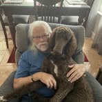 Dwight B Patton - Facebook
