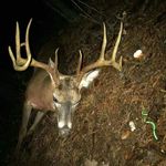 Dwight Patton - @dwight.patton.165 - Instagram
