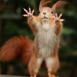 Dwight Peacock - @peacockdwight - Instagram
