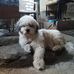 Dwight Parreno - Facebook