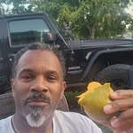 Dwight Piper - @dwightpiper1gmail.com_ - Instagram