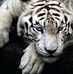 Dwight Pleasant - Facebook
