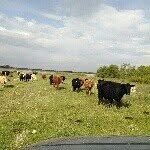 Dwight Pollock - @dwightpollock33 - Instagram