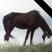Dwight Porter - Facebook