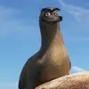 dwightpotter123 - @ryguy123469 - TikTok