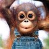 Dwight Power - @i.love.lamp..192000 - TikTok