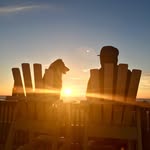 Mike Power - @dwightpower - Instagram