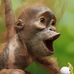 Dwight Prescott - Facebook