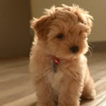 Tucker Dwight Douglas Presley - @tuckerpresley - Instagram