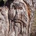 Todd Propst - Facebook