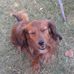 Dwight Proctor - Facebook