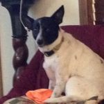 Dwight O'Quinn - @oquinndwight - Instagram