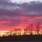 Dwight Redding - @dwightredding - Instagram