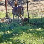 Dwight Schmidt - Facebook