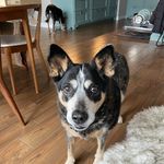 Dwight Spence - @spence.dwight - Instagram