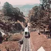 dwight - @dwight8991 - TikTok