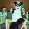 stanley_dwight1100 - @stanley_dwight1100 - TikTok