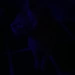 Dwight - @dwightstanton6969 - Instagram