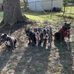 Dwight Starnes - Facebook