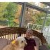 Dwight Stiles - Facebook