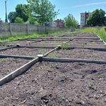 Dwight Street Garden - @dwightstreetgarden - Instagram