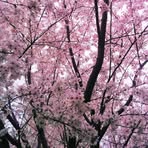 Dwight Strong - Facebook