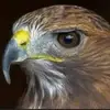Dwight Strong - @dwight.strong5 - TikTok
