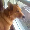Dwight Studdard - @dwight.studdard - TikTok