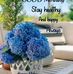 Dwight Tait - Facebook