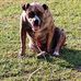 Dwight Talbert - Facebook