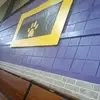 Thbodaux High School - @thibodaux_high - TikTok