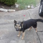 Dwight Townsend - @dwight.townsend.3557 - Instagram
