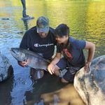 Dwight & Tyler Delipper - @silver_bullet_fishing - Instagram
