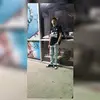 Dwight Vega - @dwightvega - TikTok