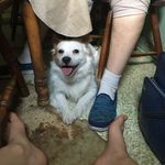 Dwight Wallace - @rick8955555 - Instagram