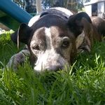 Dwight Ware - @dwightwarey79 - Instagram