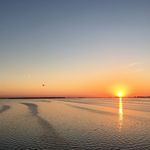 Dwight Watkins - @adw31972 - Instagram