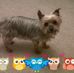 Dyanne Walker - Facebook