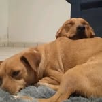 Dylan Abel Lizarraga hernandez - @dylanabellizarraga - Instagram