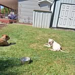 Dylan Andrew - Facebook