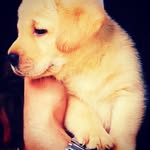 DylaN - @dylan___austin - Instagram