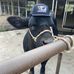 Dylan Babb - Facebook