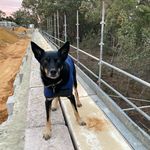 Dylan Bagnall - @dylan_bagnall_ - Instagram