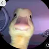 TheFortniteGOD - @dylanbarker347 - TikTok