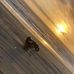 Dylan Bartlett - Facebook