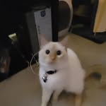 Dylan Benz - @suntzu10052 - Instagram