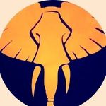Dylan Benz Limo - @dylanbenzlimo - Instagram
