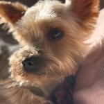 Dylan - @dylanbenz2007 - Instagram