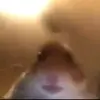 dylan.benz - @joshua_benz_ - TikTok