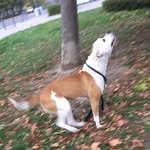 Dylan Boucher - @dylan8321 - Instagram